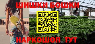 mdpv Лесосибирск