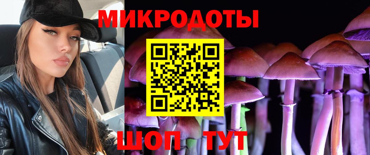 Воронеж  Псилоцибиновые грибы Psilocybine cubensis  Вход с VPN 
